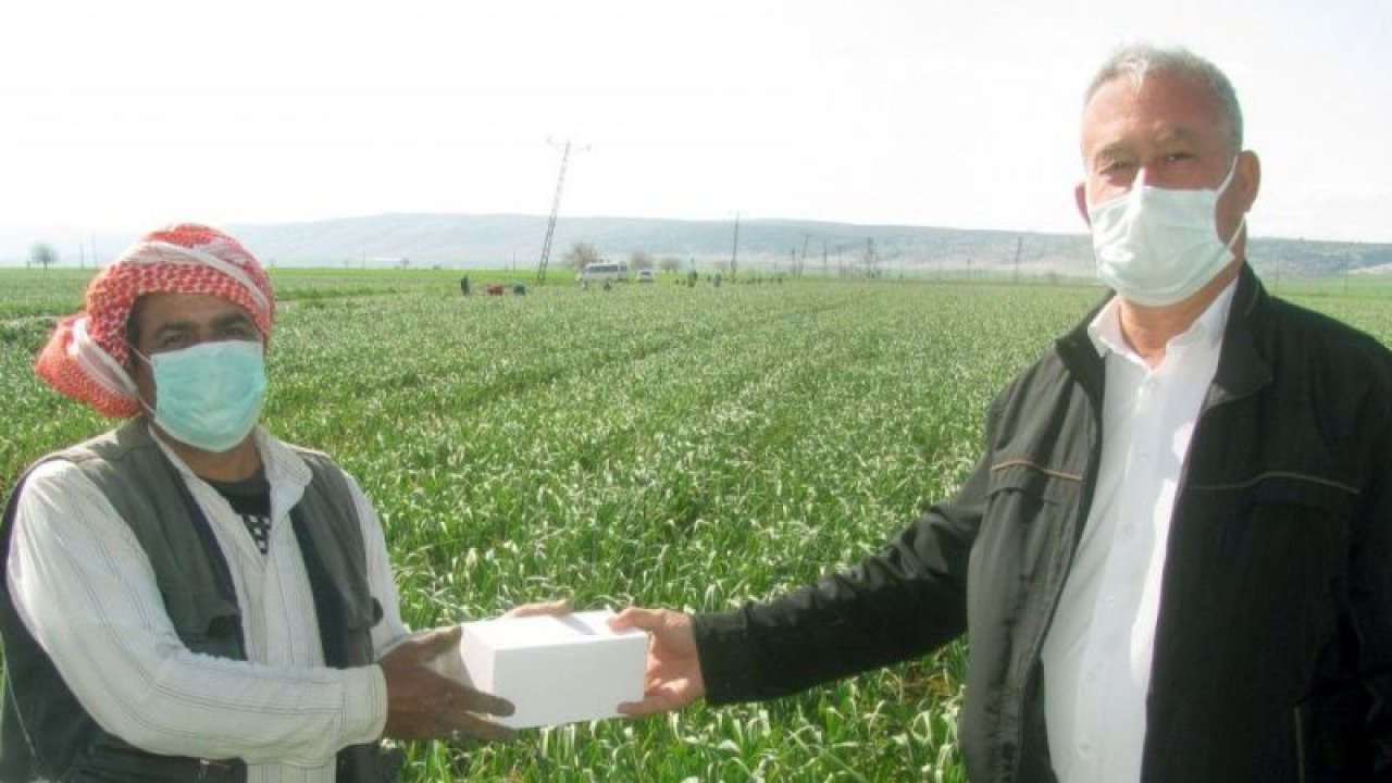 Tarım işçilerine ücretsiz maske
