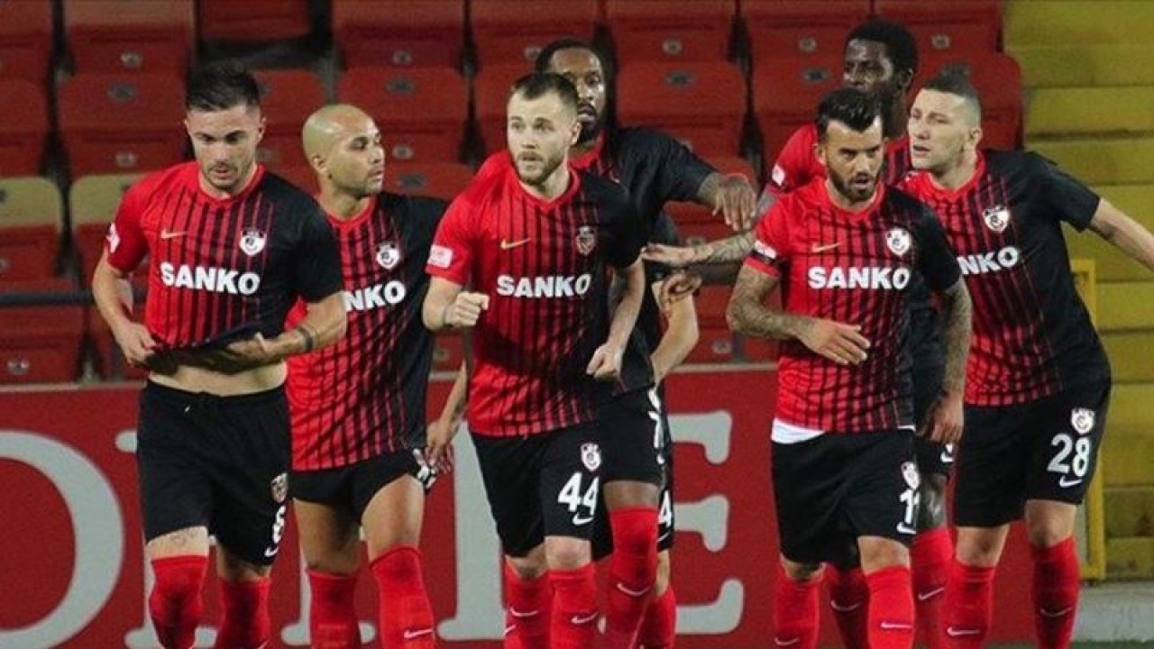 Şahin Kanarya Avında
