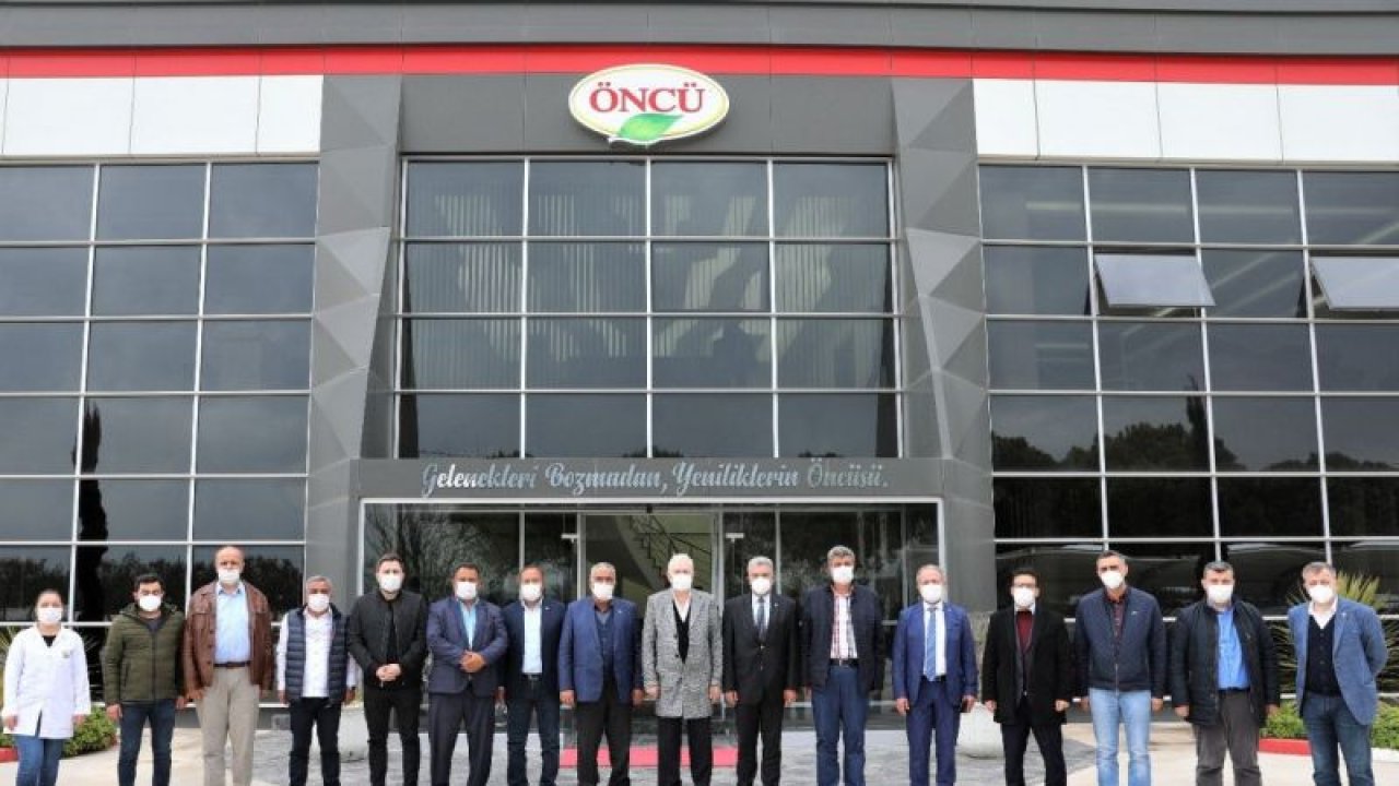 Zeytinyağı üretiminde önemli adım