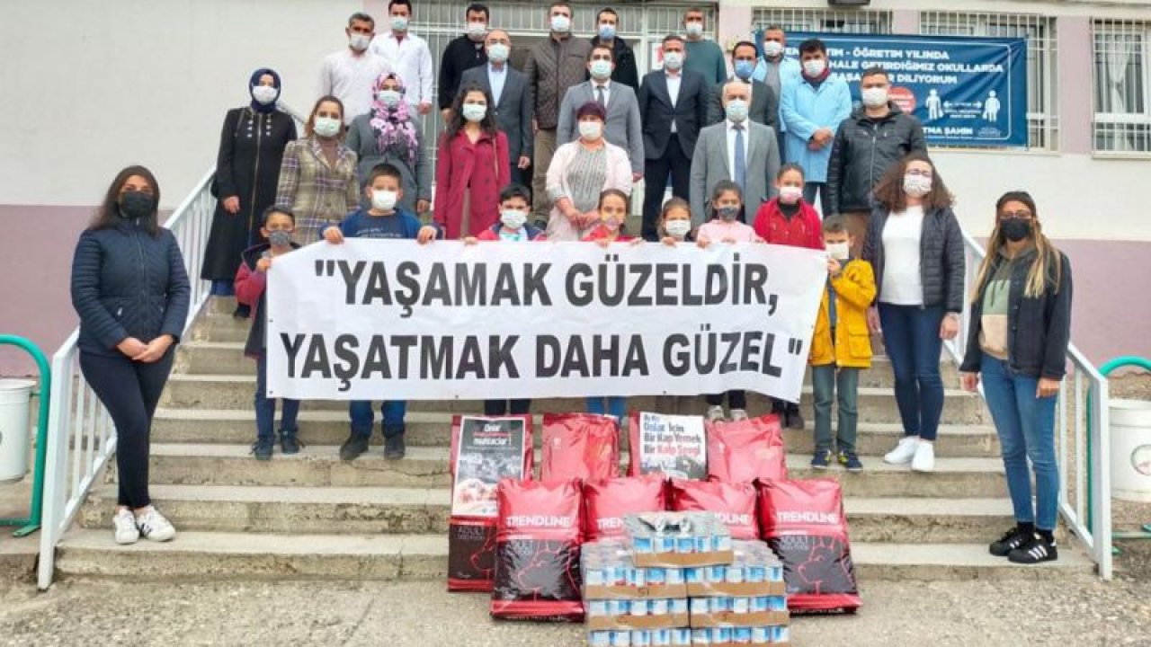 Sokak hayvanlarına mama desteği