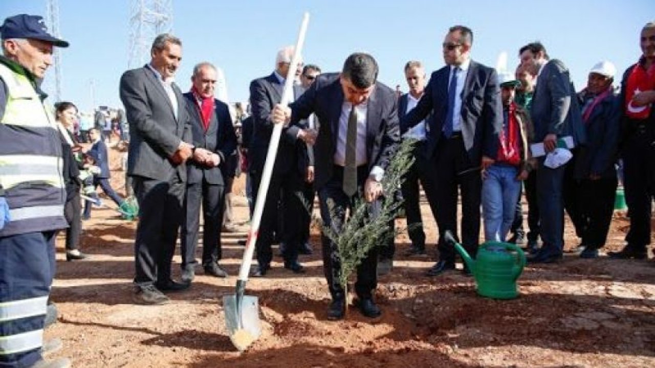 Beykent’in imarında ağaçlandırma sevinci
