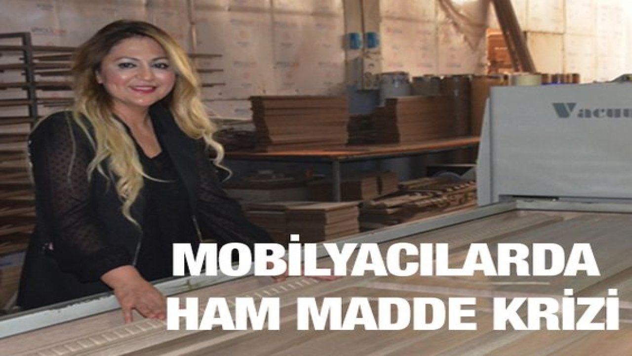 Mobilyacılarda Ham Madde Krizi