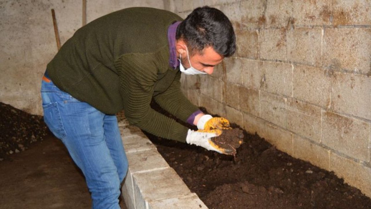 Hobi olarak başladı ticaretini yapıyor