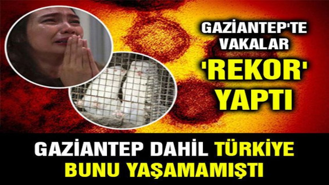 Son Dakika...Gaziantep Dahil! Türkiye Bunu Yaşamamıştı!