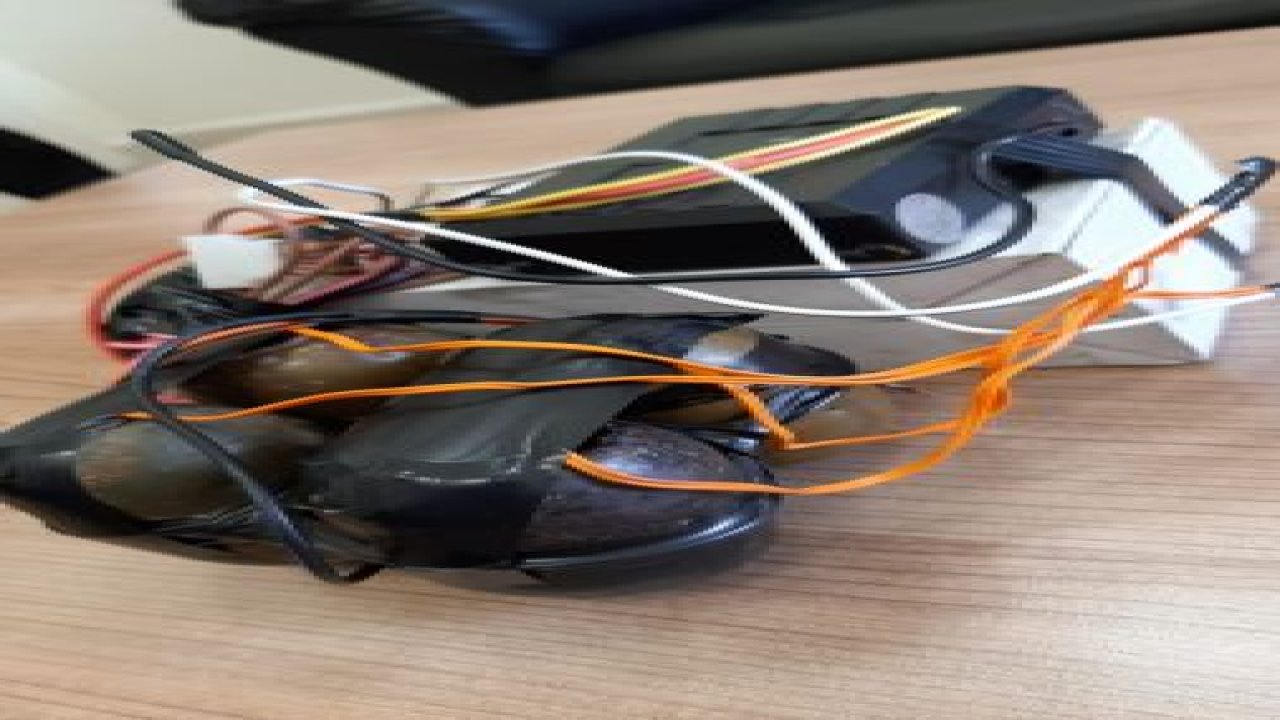 Eylemde kullanılacak patlayıcı maddeleri ele geçirildi