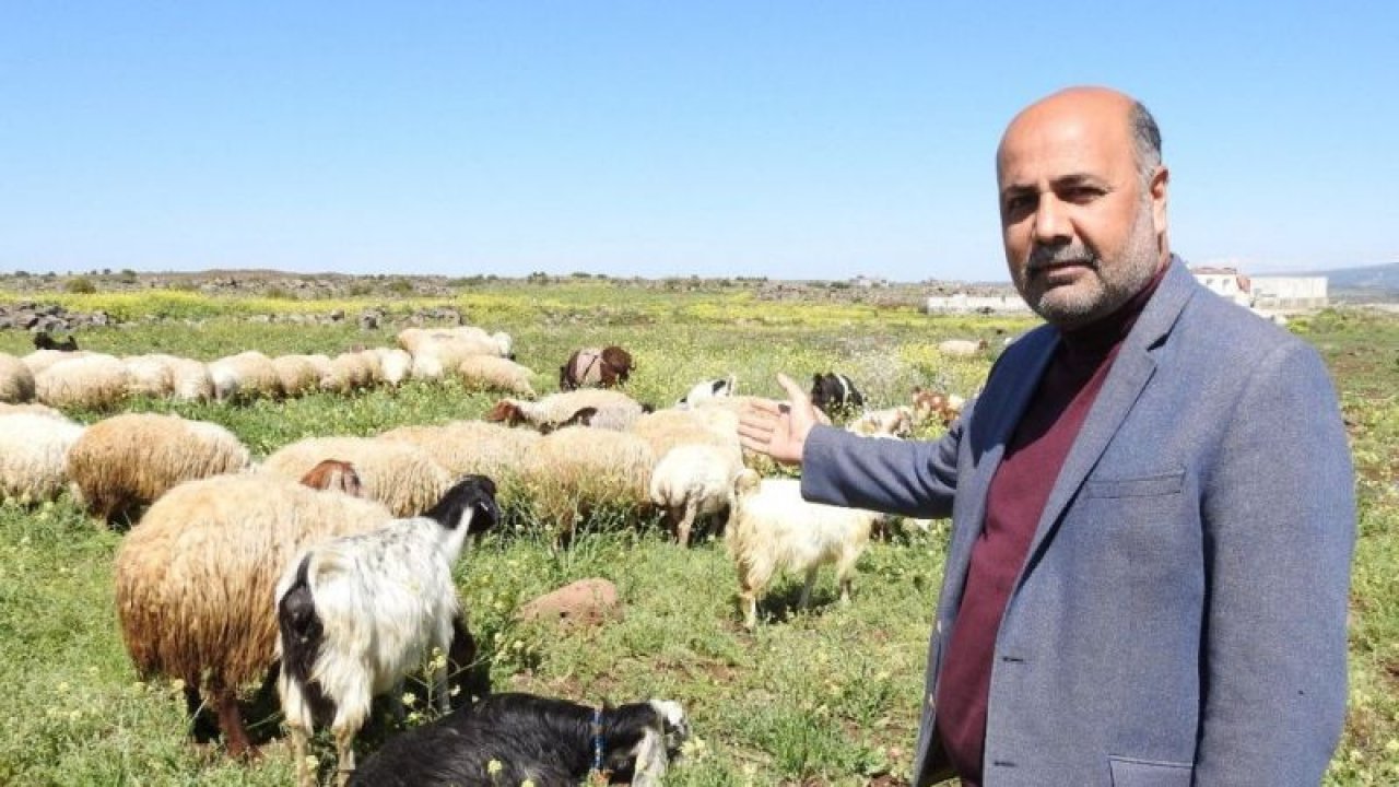 Bitcoine yatırım yapanlara bir koyun çağrısı