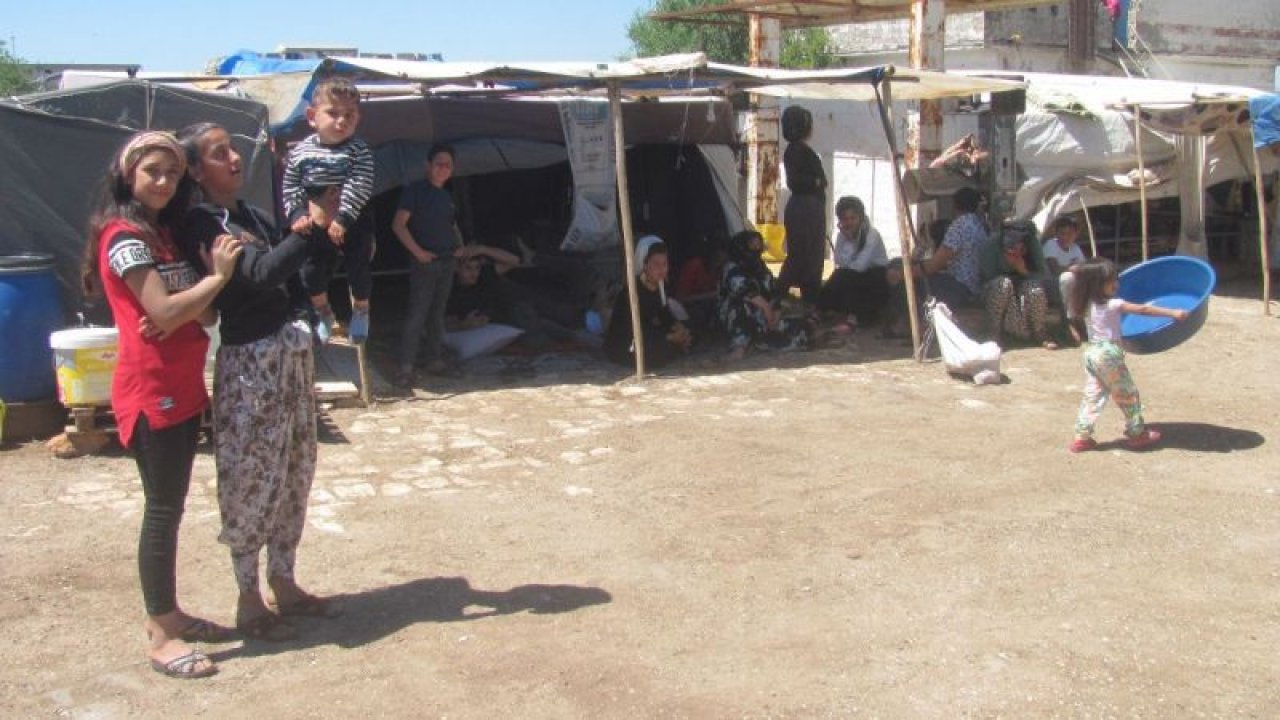 Tarım işçilerinin mesaisi başladı