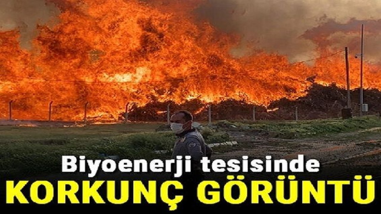 Son Dakika...Biyoenerji tesisinde yangın