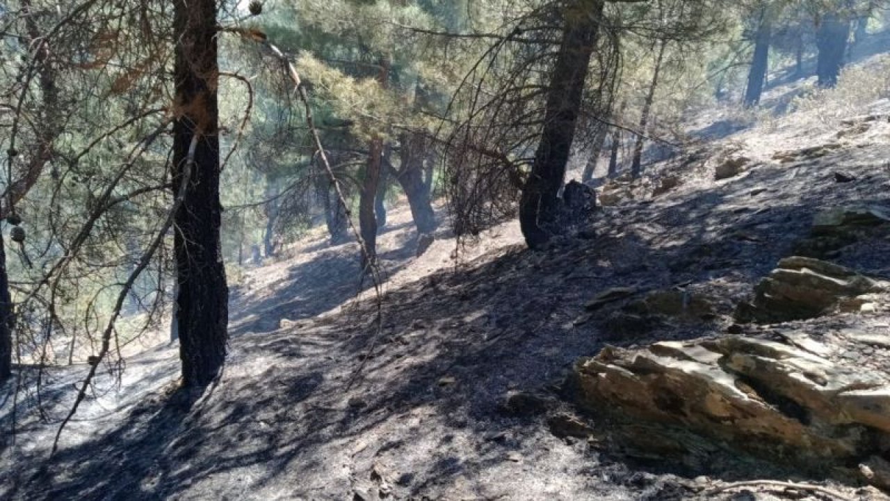 Gaziantep'teki örtü yangın söndürüldü
