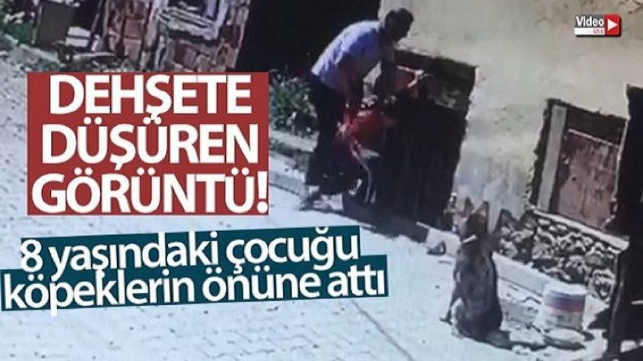 Son Dakika...Vahşet! Yaramazlık yaptığı gerekçesiyle 8 yaşındaki çocuğu köpeklerin önüne attı