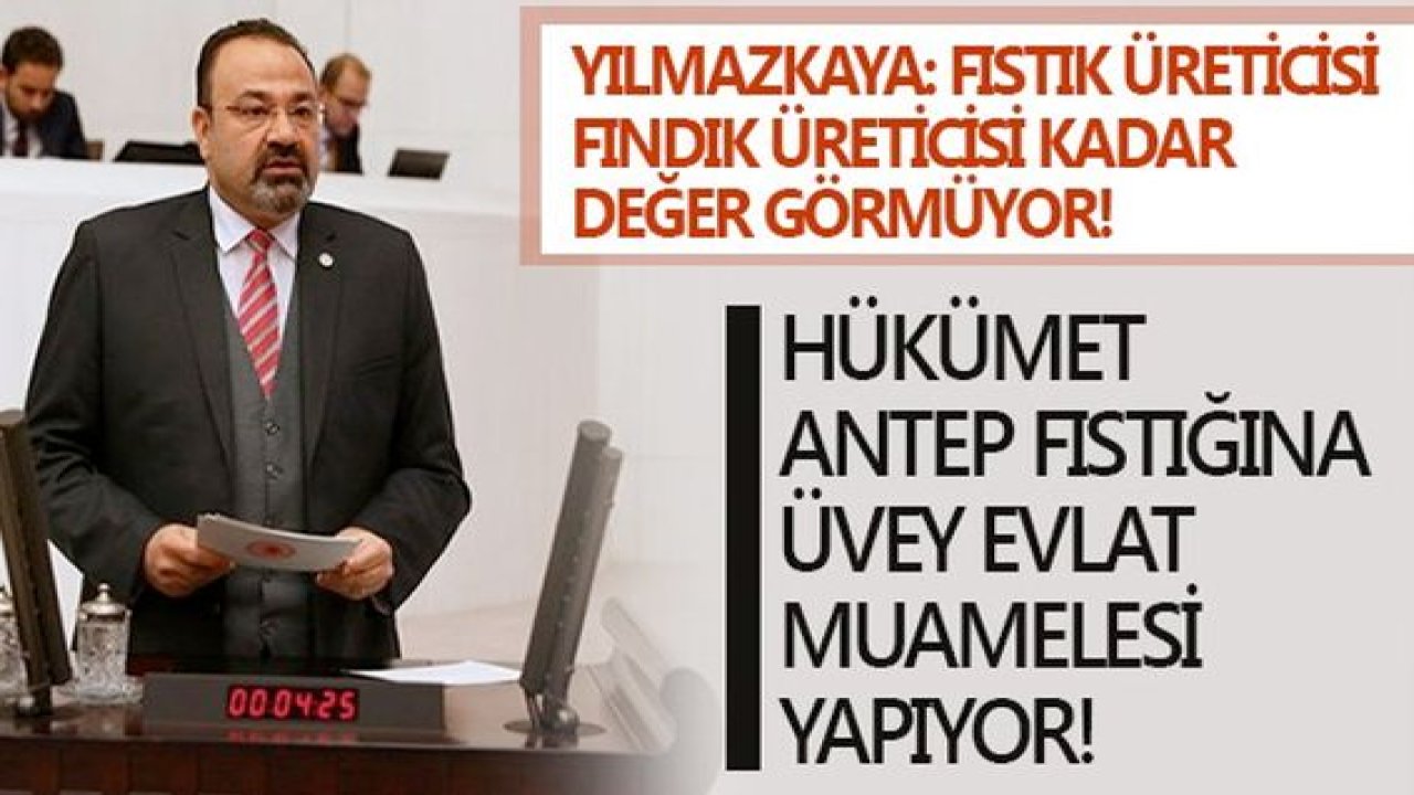 Yılmazkaya, “Fıstık Üreticisi Fındık Üreticisi Kadar Değer Görmüyor!”