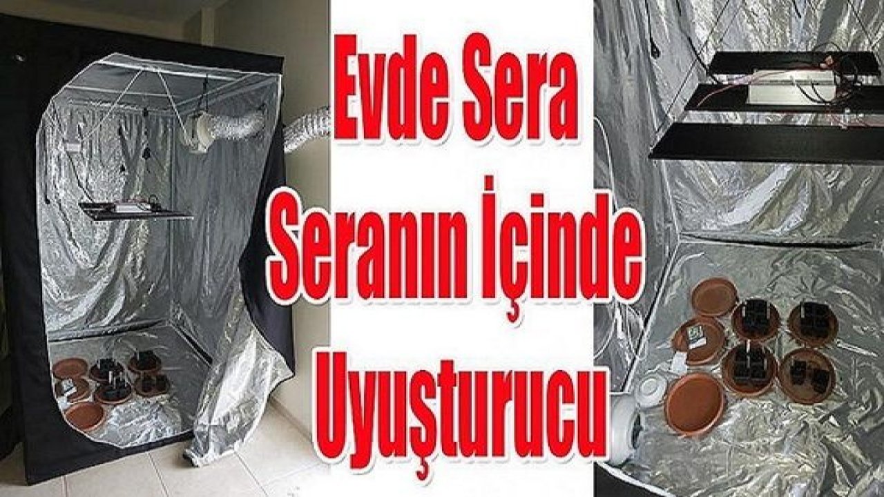Son Dakika...Gaziantep'te Oda içinde Serada Uyuşturucu Yetiştiriyorlardı...Yakayı Ele Verdiler