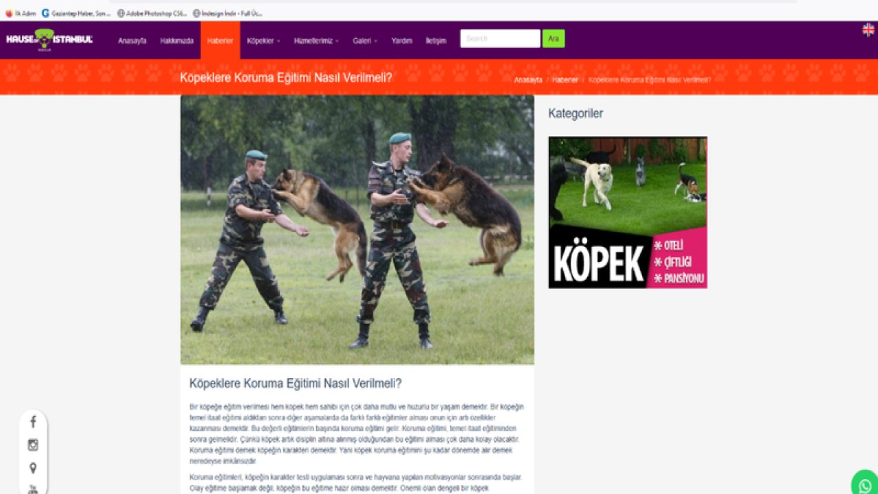 Köpeklerle Hizli Iletisim Kurabilmenin Yöntemleri