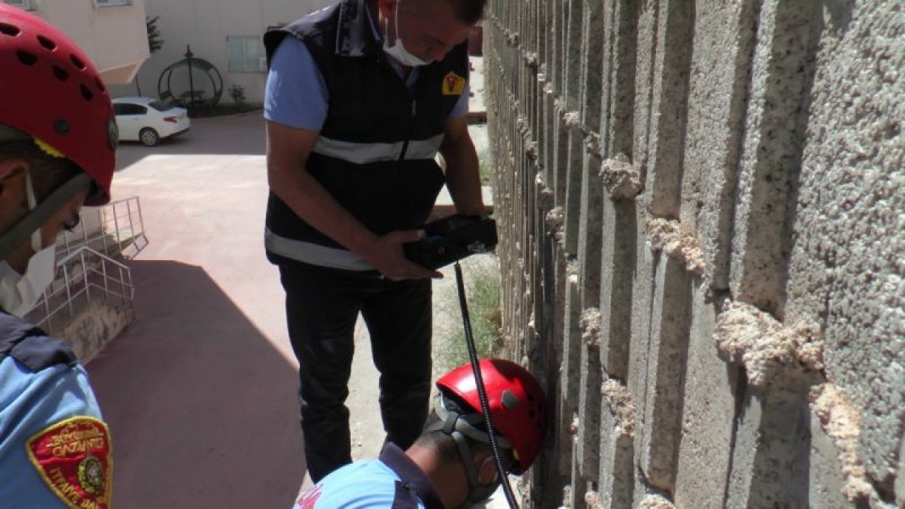 Video Haber...Duvara sıkışan kedi bulunamadı, sahibini itfaiye ekipleri teselli etti