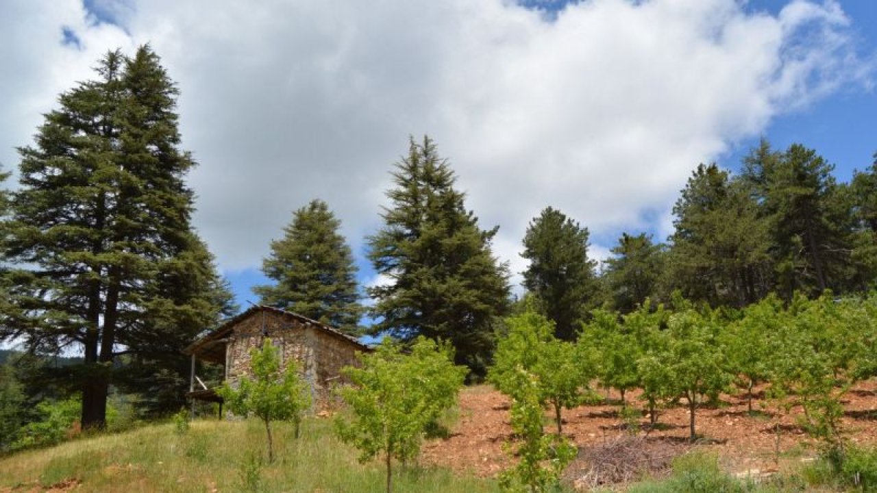 Foto Haber...Huzurlu Tabiat Parkı ziyaretçilerini bekliyor
