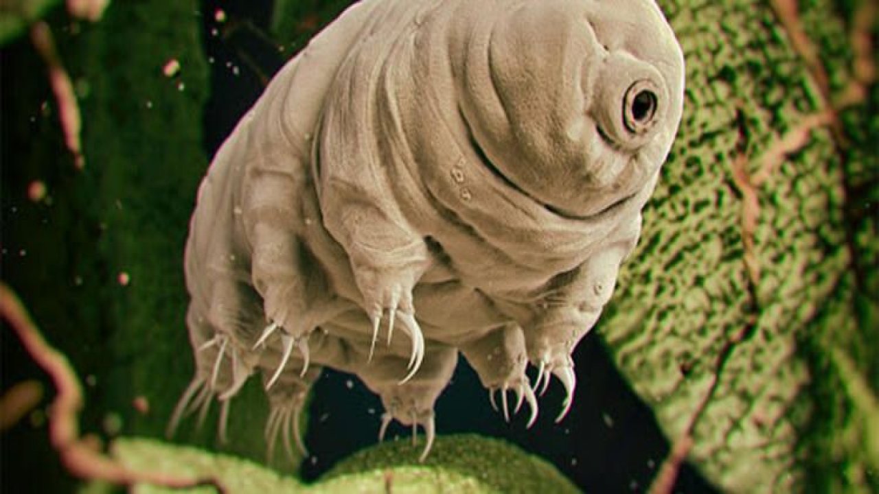 SpaceX ve NASA'dan umut olacak roket atışı!