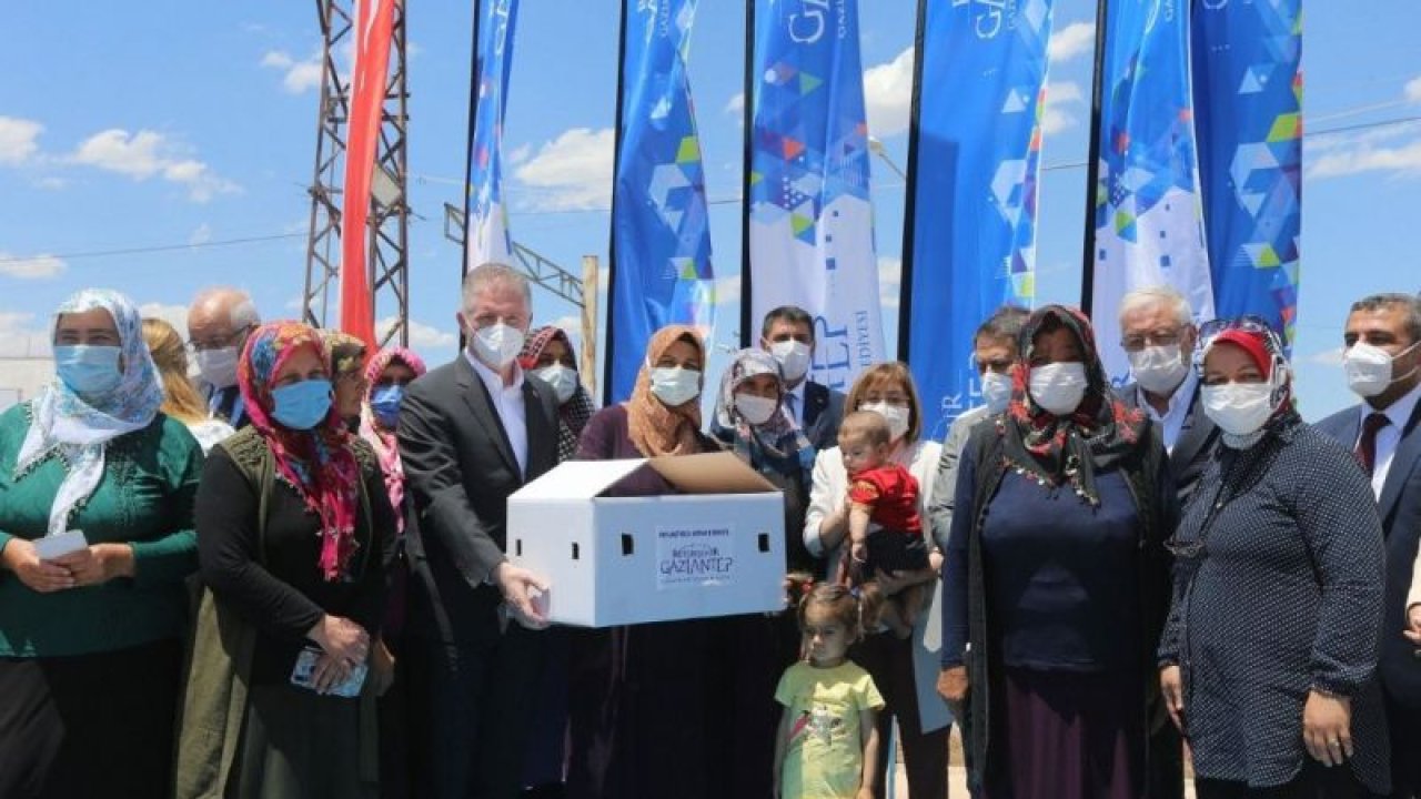 Gaziantep Büyükşehir’den kadın çiftçilere 70 bin tavuk