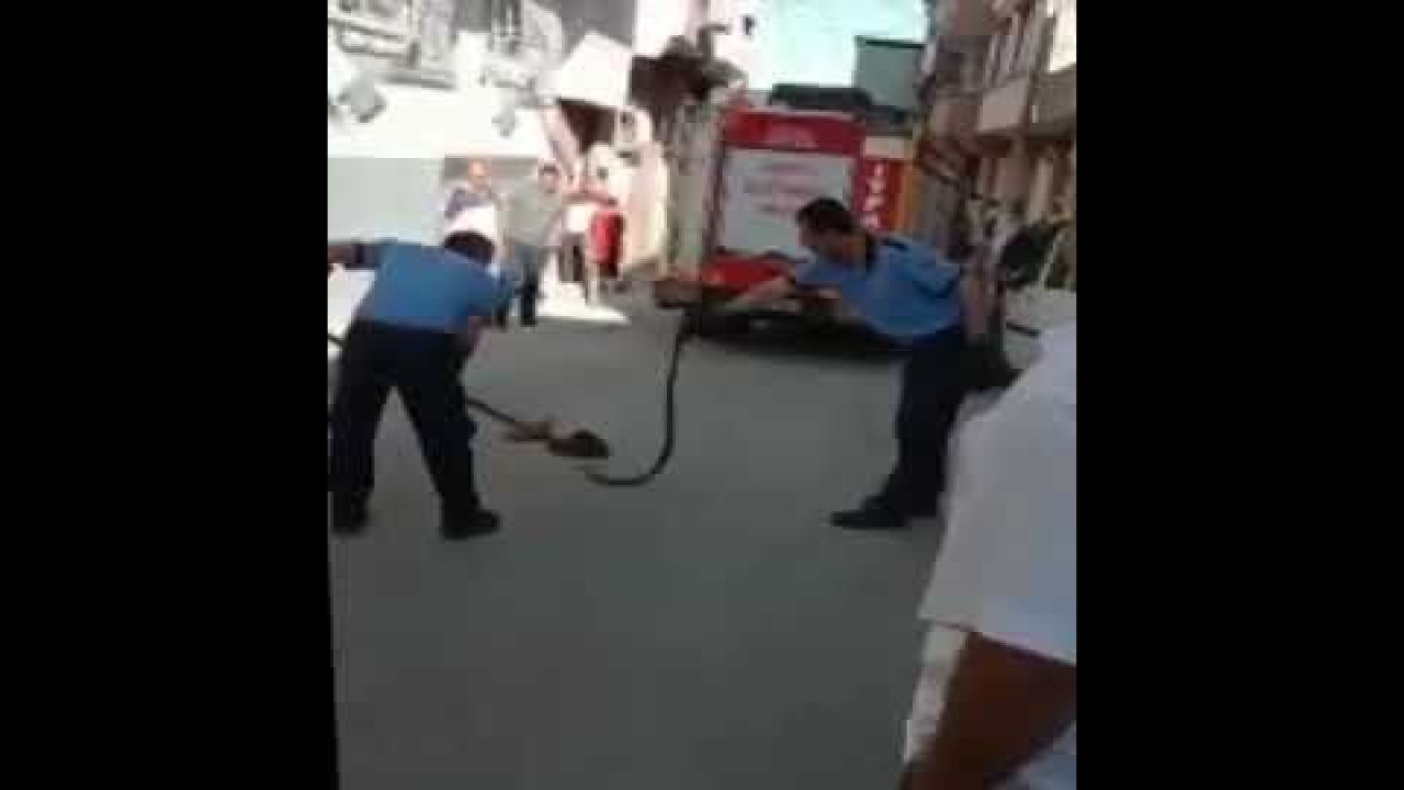 Video Haber...Gaziantep'te Aracın İçindeki Yılanla 1 Hafta Dolaştı