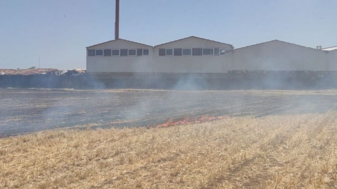 Video Haber...Gaziantep'te faciadan dönüldü...Az kalsın fabrikayı yok ediyordu