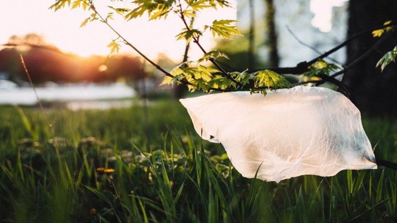 Plastik Saklama Kapları Sağlık Açısından Tehlikeli Olabilir