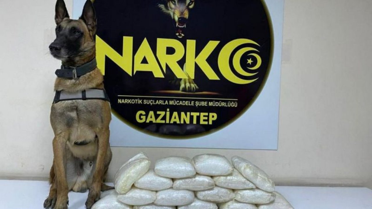 Yolcu otobüsünde 16 kilogram uyuşturucu ele geçirildi