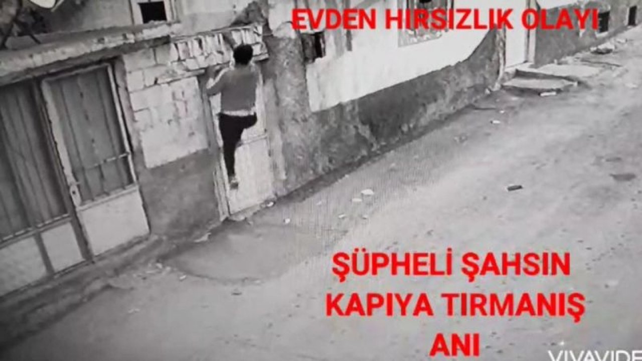 Video Haber...Örümcek adam gibi tırmanarak hırsızlık yaptı