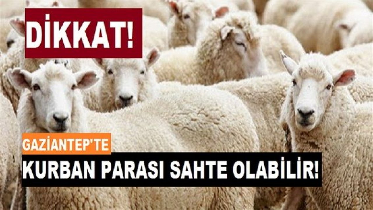 Son Dakika: Gaziantep'te Dolandırıcılar Kurbanlara Göz Dikti! Gaziantep'te Kurban Bayramında Sahte Para Riski!  5’lik-10’luk-50’lik sahte paraya dikkat