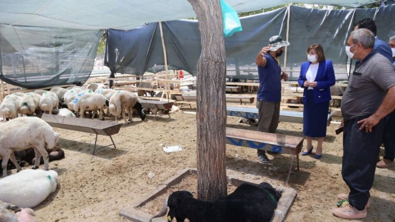 Başkan Şahin kurban kesim ve satış yerlerini ziyaret etti