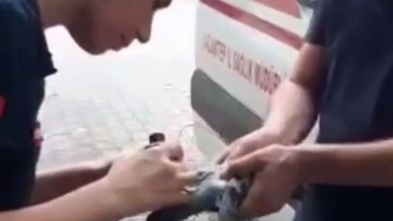 Video Haber...Bakan Fahrettin Koca'dan Gaziantep'e Teşekkür Tweet'i! Gaziantep'te  112 Ekibinin Güvercin Kurtarma Operayonu!