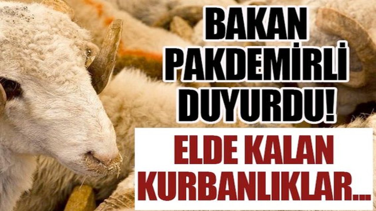 Son Dakika: Bakan duyurdu! Satılmayan kurbanlar için flaş karar