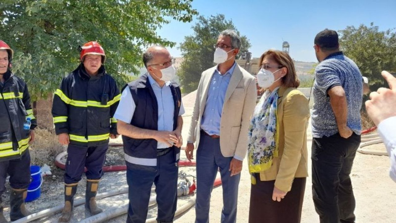 Son Dakika: Video Haber...Başkan Fatma Şahin Yangın Bölgesinde İncelemelerde bulundu
