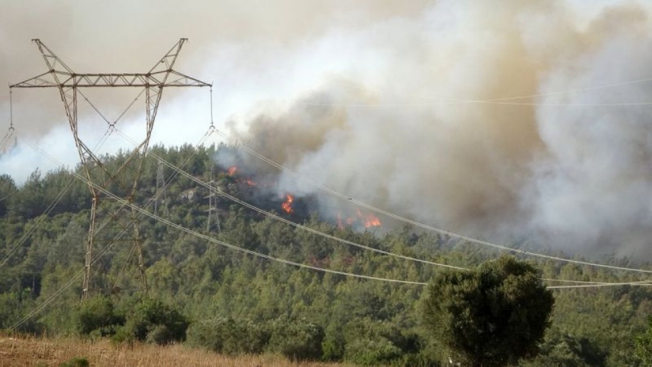 Son Dakika:Manavgat Sönmeden,Komşu İl Yanıyor! Sırada Gaziantep mi Var?