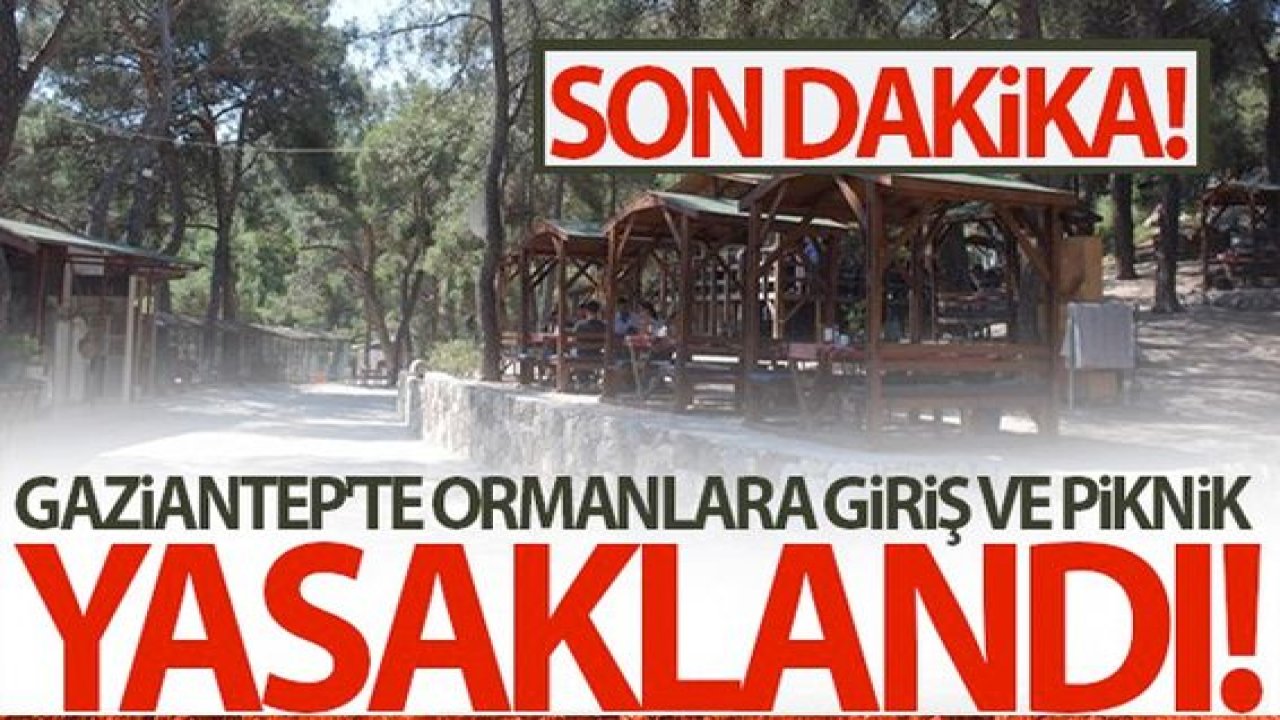 Gaziantep Valisi Gül'den Açıklama;Gaziantep'te ormanlara girişler 15 gün süre ile yasaklandı