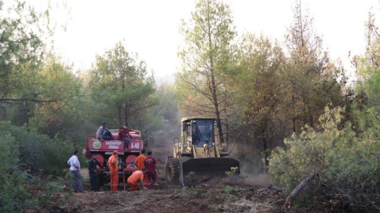 Kilis’e Gaziantep’ten 70 bin fidan desteği