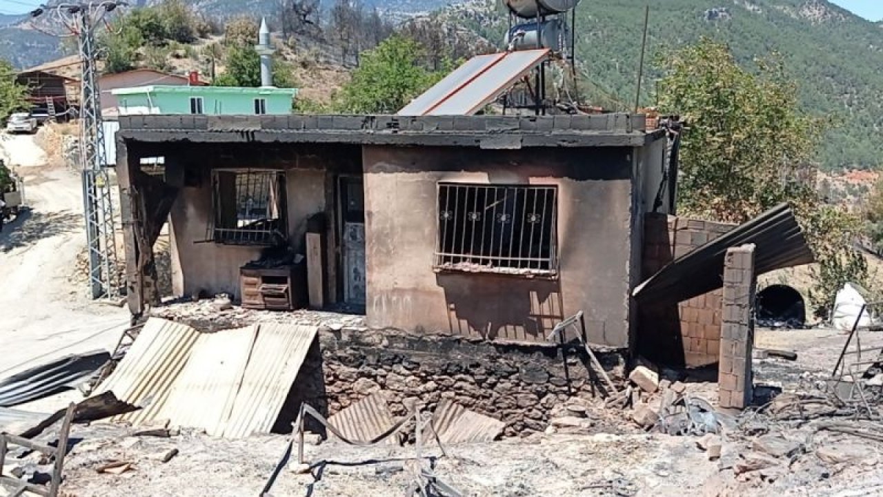 Son Dakika: Video Haber...Yangın bölgesinde yaralar sarılıyor
