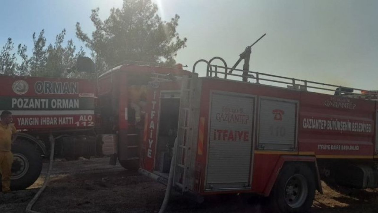 Adana ve Osmaniye’deki orman yangınlarına Gaziantep’ten destek