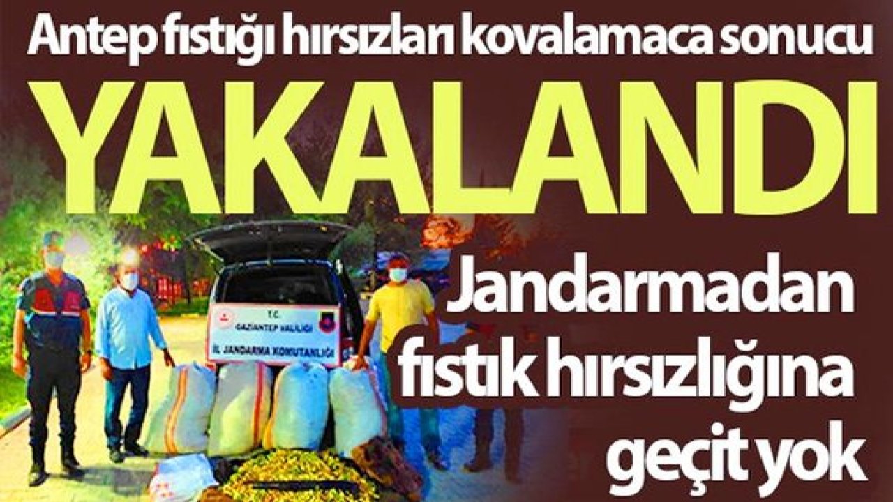 Son Dakika Haber: 390 Kilo Fıstık Çaldılar Yakayı Ele Verdiler!Jandarmadan fıstık hırsızlığına geçit yok