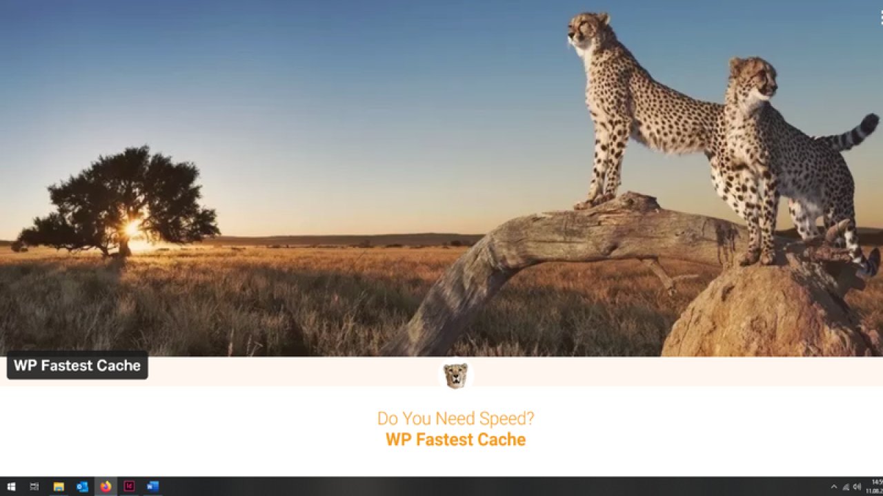 WP Fastest Cache Eklentisi İle Cpu Aşımına Kesin Çözüm