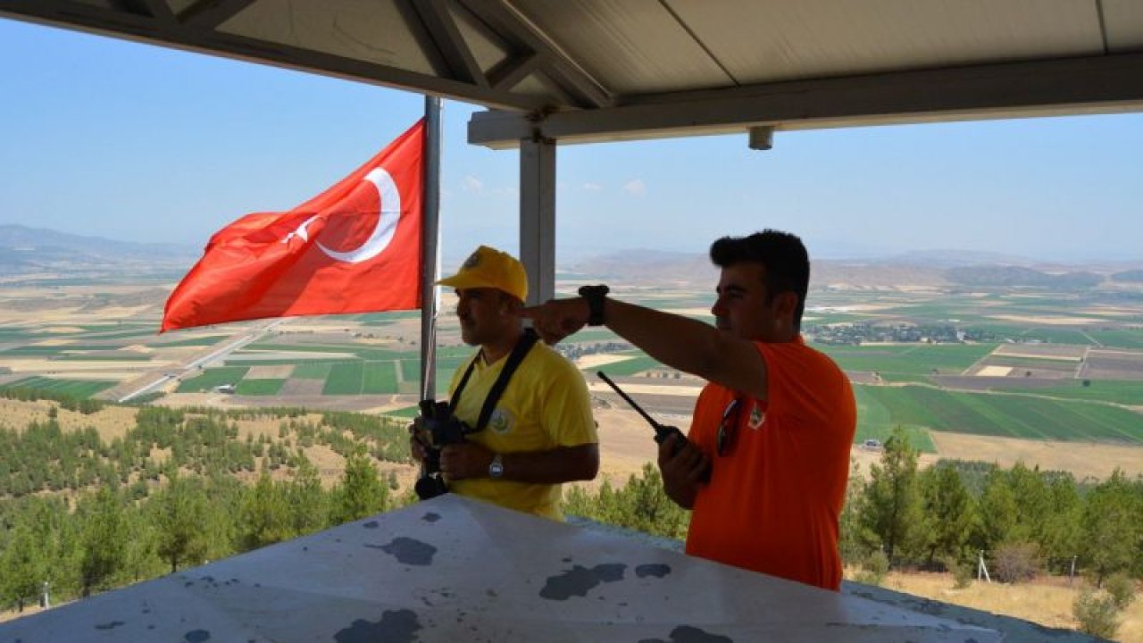 Beş ilin 32 bin hektarlık ormanı onlara emanet