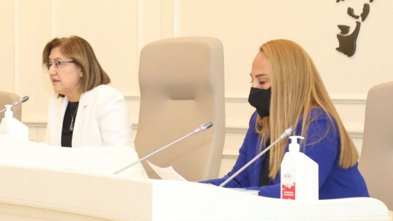 Son Dakika: Video Haber...Gaziantep’ten orman yangınlarının olduğu yerlere maddi yardım yapılacak