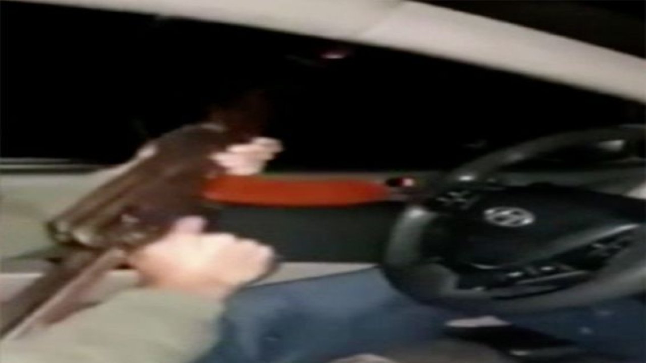 Son Dakika:Video Haber...Gaziantep'te maganda kendisini sosyal medyadan ele verdi