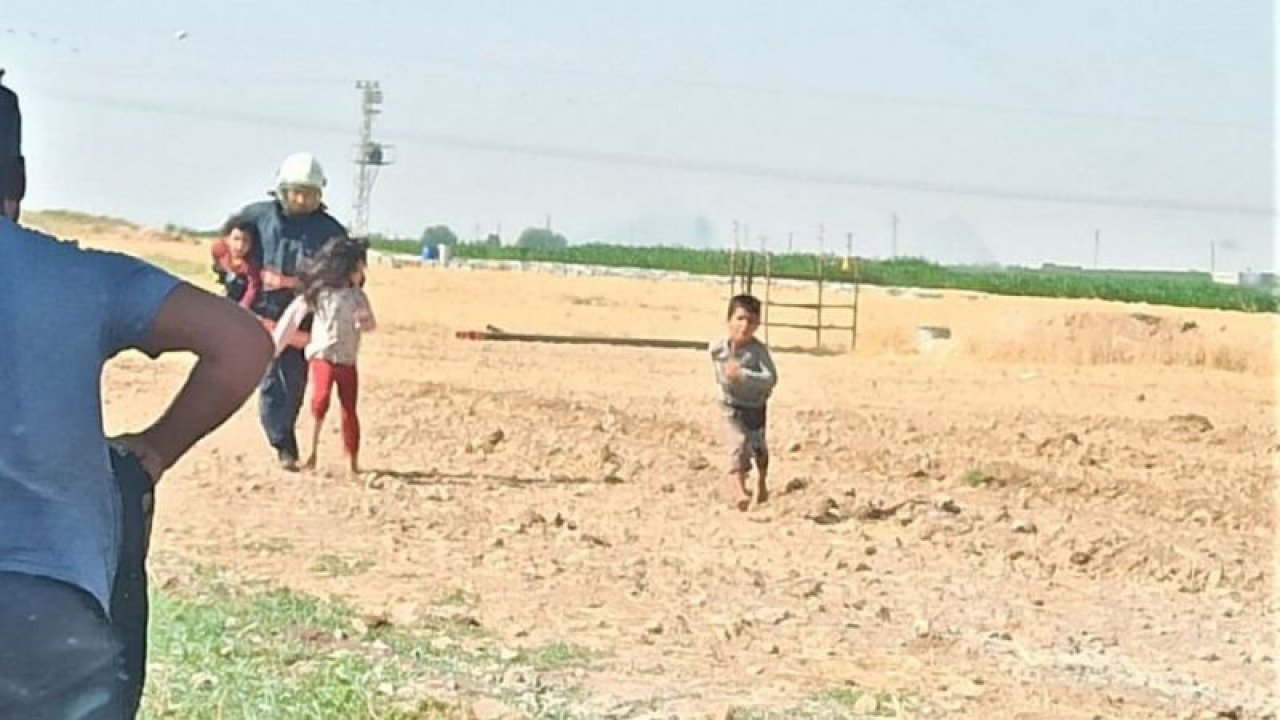 Son Dakika: Komşu İlde Arılar eve saldırdı: mahsur kalan 10 kişiyi itfaiye kurtardı