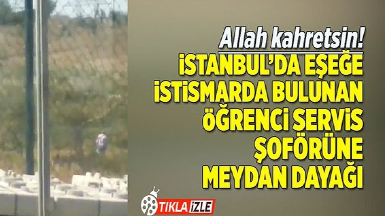 Video Haber: Bu Nasıl İnsan! Allah kahretsin! Eşek istismarcısına meydan dayağı