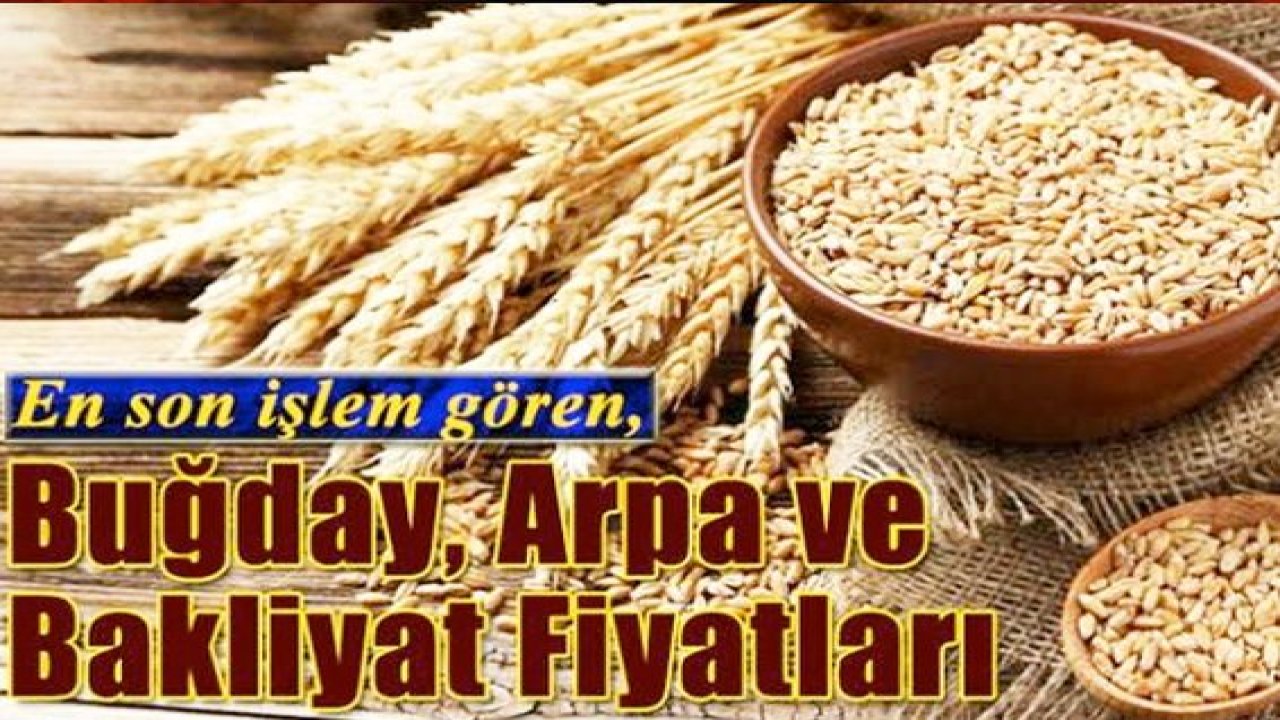Gaziantep'te Bakliyat Fiyatları! Gaziantep'te Kırmızı Kabuklu Mercimek  9.90, Ekmeklik Buğday 2.42'den alınıyor