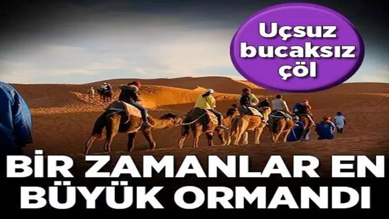 Dünyanın en büyük çölü Sahra bir zamanlar ormanmış