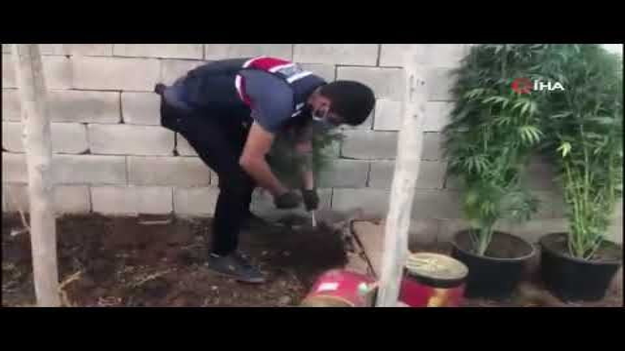 Son Dakika:Video Haber…Jandarmadan hint keneviri ekilen adreslere operasyon