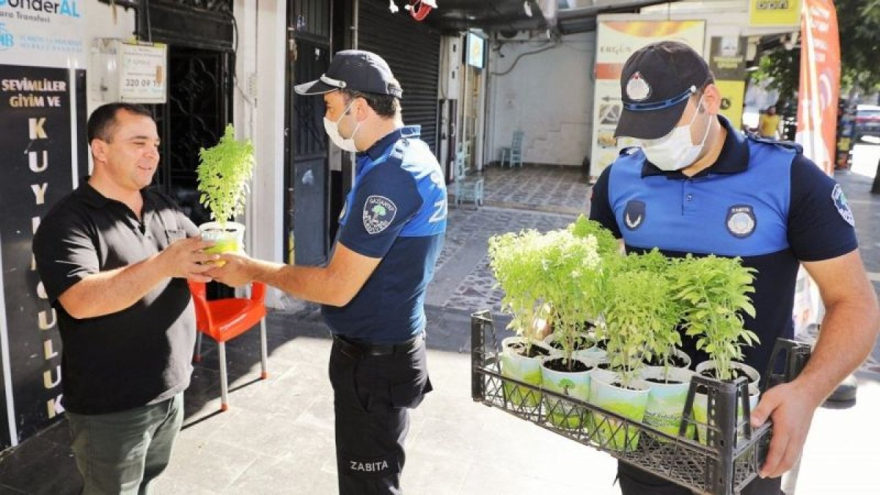 Şehitkamil’de esnafa reyhan çiçeği hediyesi