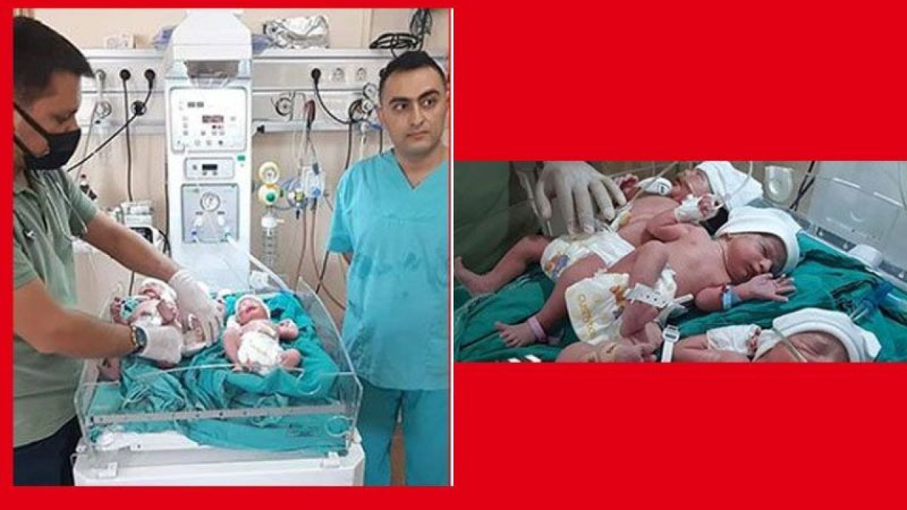 Video Haber...Nizip’te 4 ayda 2. kez üçüz mutluluğu