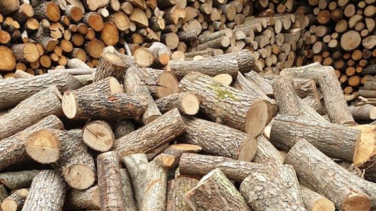Son Dakika: Gaziantep'te Kömürden Sonra Odunda Zamlandı!Gaziantep'te odun fiyatları yükseldi
