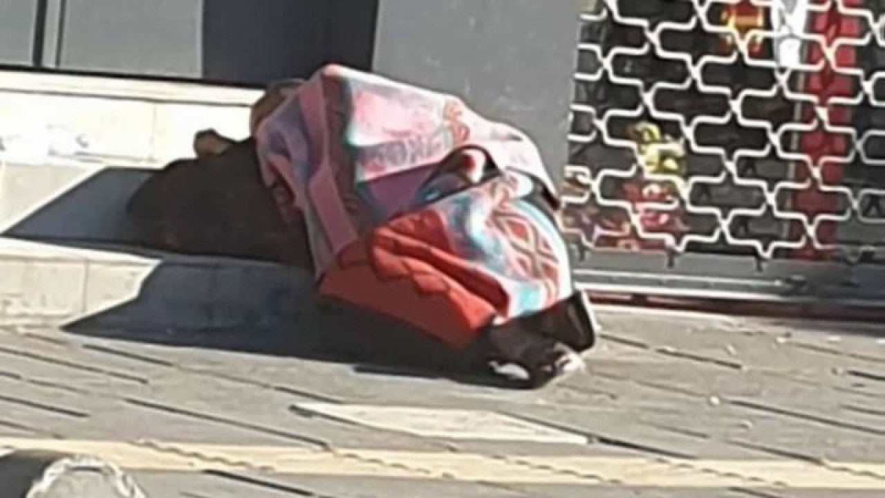 Biri zirvede Biri kaldırımda.!